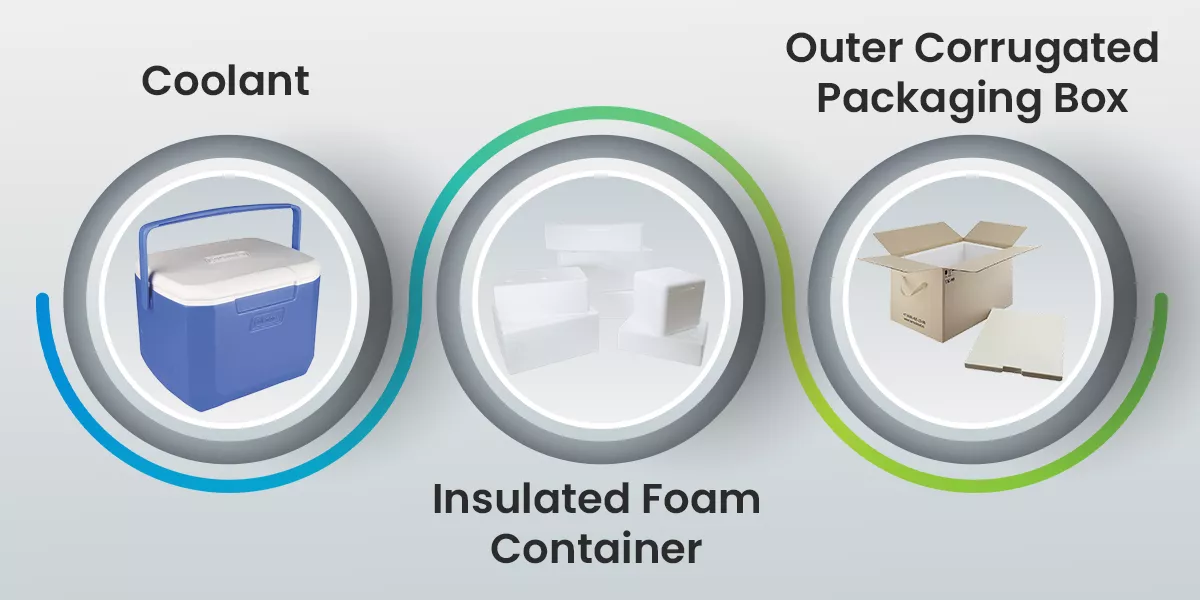 Essential Equipment For Packaging And Shipping Frozen Food